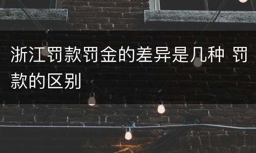 浙江罚款罚金的差异是几种 罚款的区别