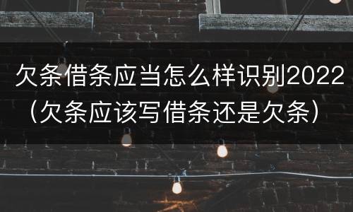 欠条借条应当怎么样识别2022（欠条应该写借条还是欠条）