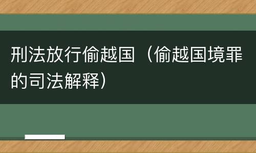 刑法放行偷越国（偷越国境罪的司法解释）