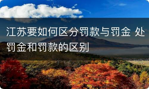 江苏要如何区分罚款与罚金 处罚金和罚款的区别