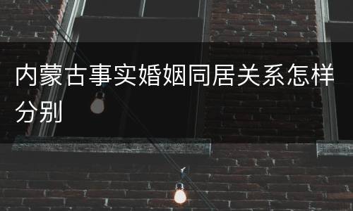 内蒙古事实婚姻同居关系怎样分别