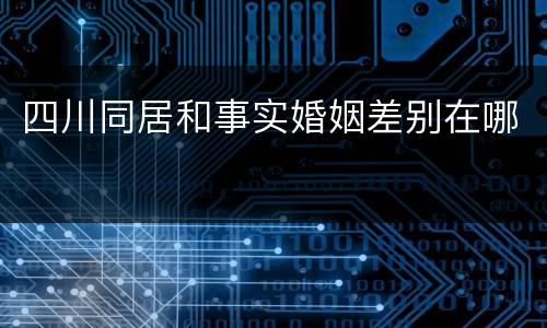 四川同居和事实婚姻差别在哪