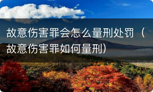 故意伤害罪会怎么量刑处罚（故意伤害罪如何量刑）
