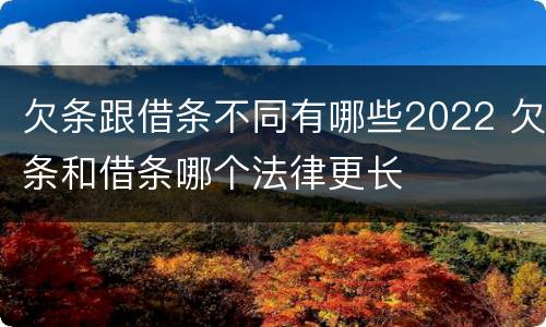 欠条跟借条不同有哪些2022 欠条和借条哪个法律更长