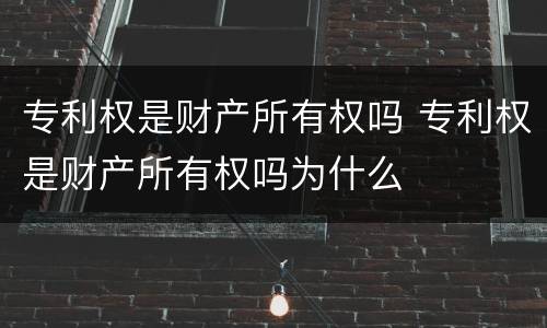 专利权是财产所有权吗 专利权是财产所有权吗为什么