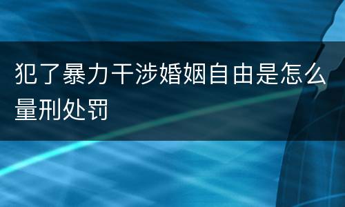 犯了暴力干涉婚姻自由是怎么量刑处罚