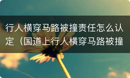 行人横穿马路被撞责任怎么认定（国道上行人横穿马路被撞责任怎么认定）