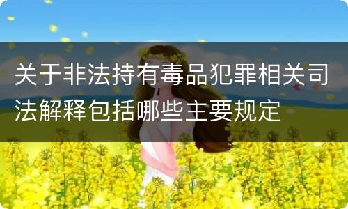 关于非法持有毒品犯罪相关司法解释包括哪些主要规定