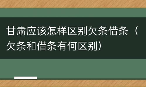 甘肃应该怎样区别欠条借条（欠条和借条有何区别）