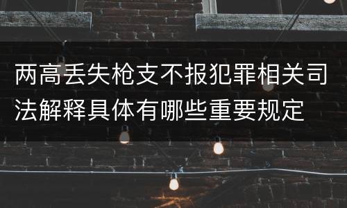 两高丢失枪支不报犯罪相关司法解释具体有哪些重要规定