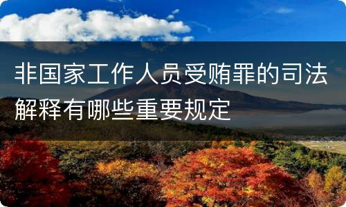 非国家工作人员受贿罪的司法解释有哪些重要规定