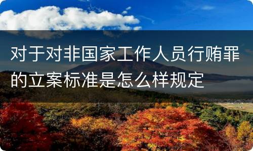 对于对非国家工作人员行贿罪的立案标准是怎么样规定