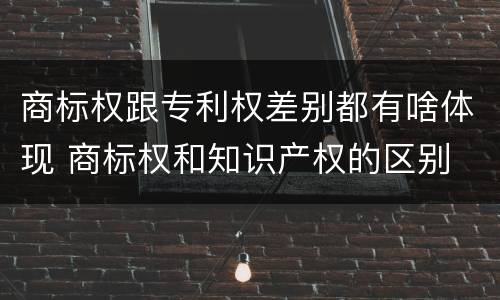 商标权跟专利权差别都有啥体现 商标权和知识产权的区别