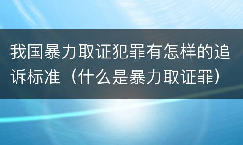 我国暴力取证犯罪有怎样的追诉标准（什么是暴力取证罪）
