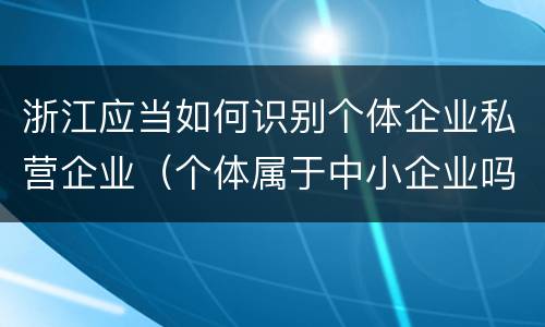 浙江应当如何识别个体企业私营企业（个体属于中小企业吗）