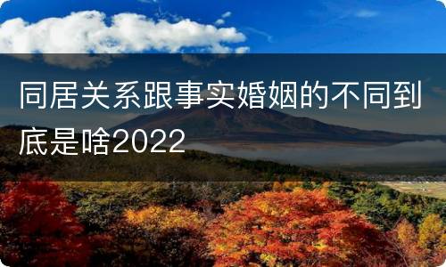 同居关系跟事实婚姻的不同到底是啥2022