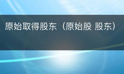 原始取得股东（原始股 股东）