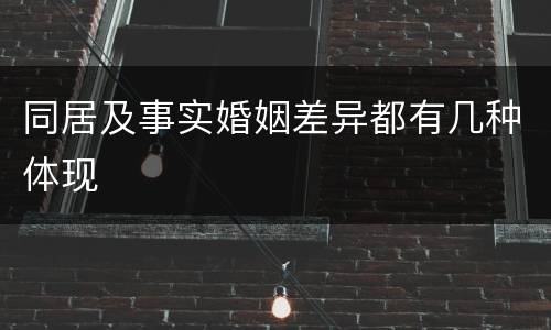 同居及事实婚姻差异都有几种体现