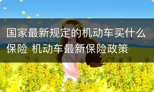 国家最新规定的机动车买什么保险 机动车最新保险政策