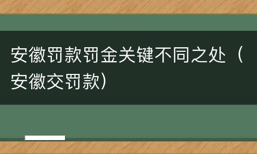 安徽罚款罚金关键不同之处（安徽交罚款）