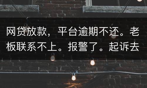 网贷放款，平台逾期不还。老板联系不上。报警了。起诉去凭电子协议法院采信吗