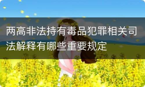 两高非法持有毒品犯罪相关司法解释有哪些重要规定