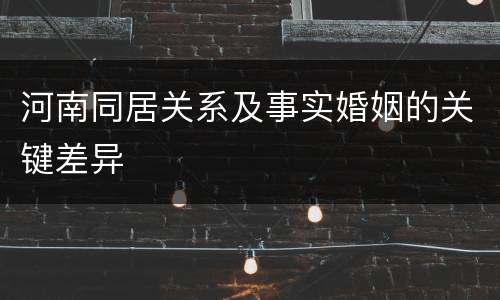河南同居关系及事实婚姻的关键差异