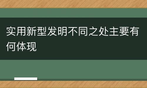 实用新型发明不同之处主要有何体现