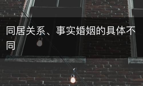 同居关系、事实婚姻的具体不同