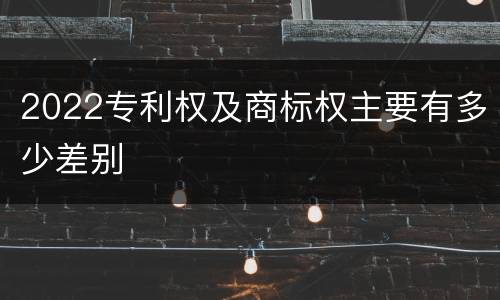 2022专利权及商标权主要有多少差别