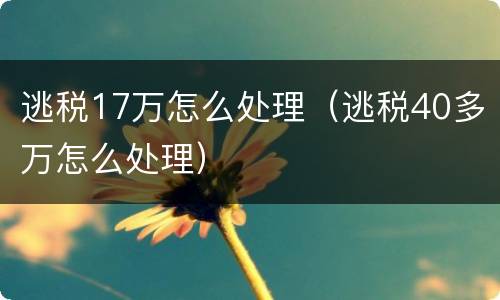 逃税17万怎么处理（逃税40多万怎么处理）