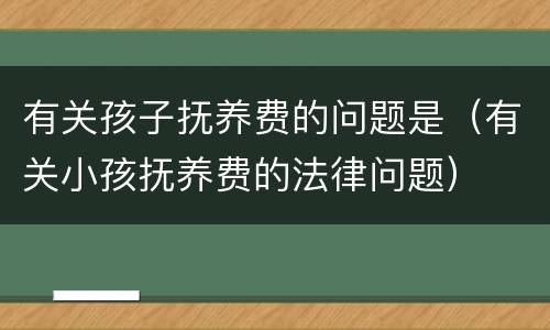 有关孩子抚养费的问题是（有关小孩抚养费的法律问题）