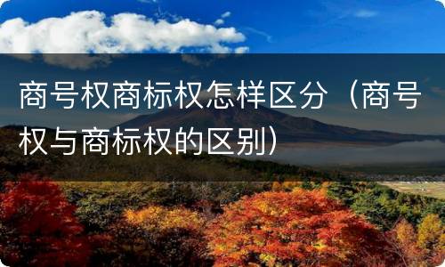 商号权商标权怎样区分（商号权与商标权的区别）