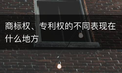 商标权、专利权的不同表现在什么地方