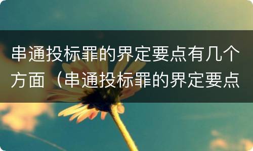 串通投标罪的界定要点有几个方面（串通投标罪的界定要点有几个方面的问题）