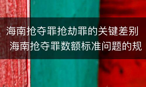 海南抢夺罪抢劫罪的关键差别 海南抢夺罪数额标准问题的规定