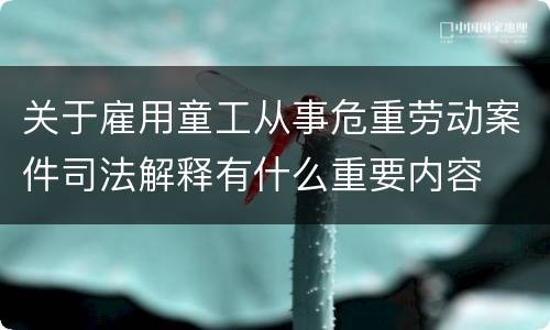 关于雇用童工从事危重劳动案件司法解释有什么重要内容