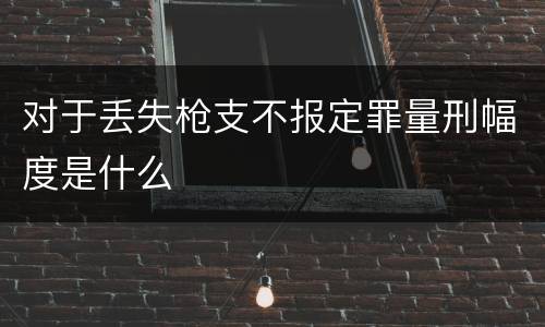 对于丢失枪支不报定罪量刑幅度是什么