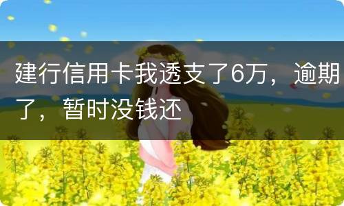 建行信用卡我透支了6万，逾期了，暂时没钱还