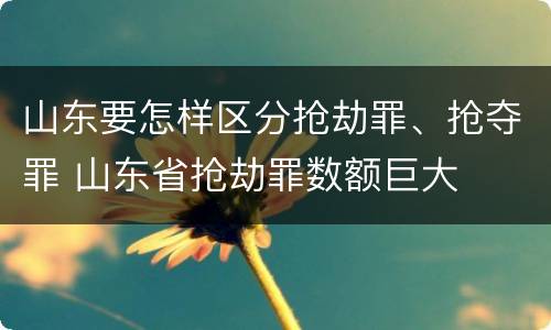 山东要怎样区分抢劫罪、抢夺罪 山东省抢劫罪数额巨大