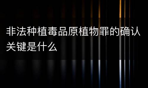 非法种植毒品原植物罪的确认关键是什么