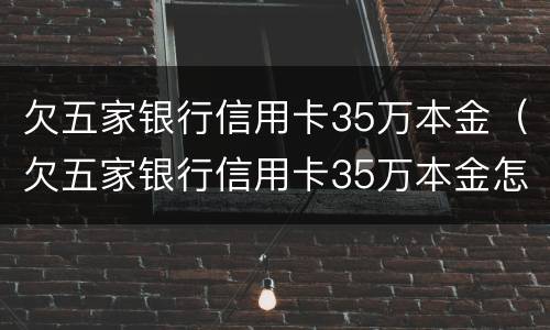 欠五家银行信用卡35万本金（欠五家银行信用卡35万本金怎么还）
