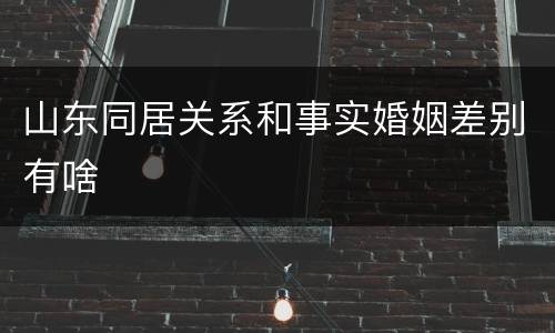 山东同居关系和事实婚姻差别有啥