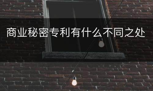 商业秘密专利有什么不同之处