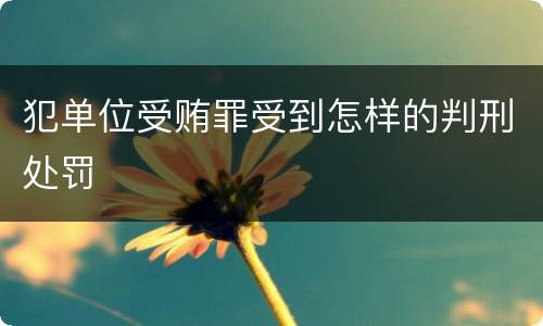 犯单位受贿罪受到怎样的判刑处罚