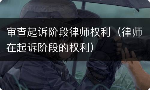 审查起诉阶段律师权利（律师在起诉阶段的权利）