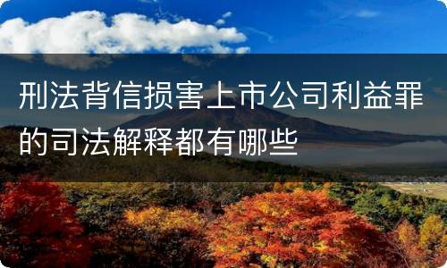 刑法背信损害上市公司利益罪的司法解释都有哪些