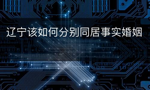 辽宁该如何分别同居事实婚姻