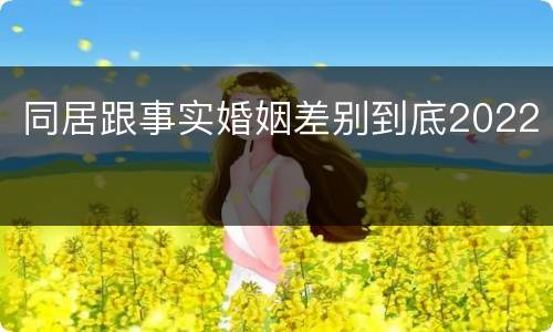 同居跟事实婚姻差别到底2022