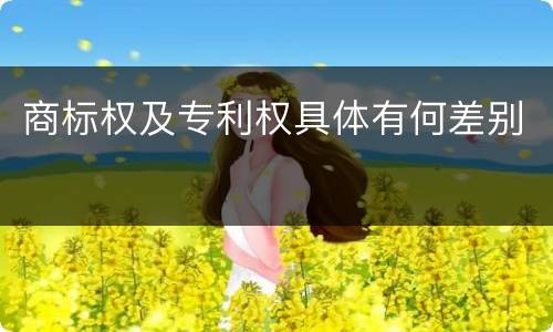 商标权及专利权具体有何差别
